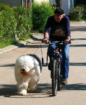 of Barbary Lane - Gwendal fait du vélo