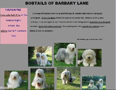 of Barbary Lane - UN NOUVEAU SITE POUR LES BARBARY LANE 